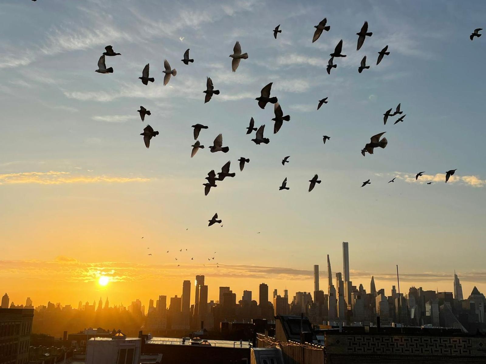 Ny Skyline One Of A Kind View Daire Union City Dış mekan fotoğraf